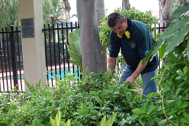 Ezko Gardening